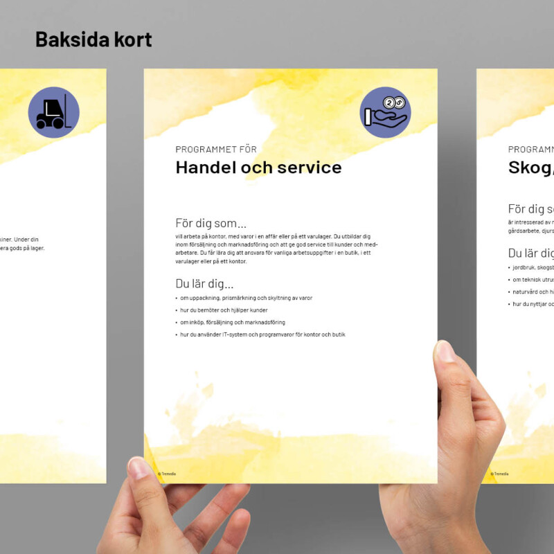 Anpassad gymnasieskola Programkort – digital leverans – Tremedia