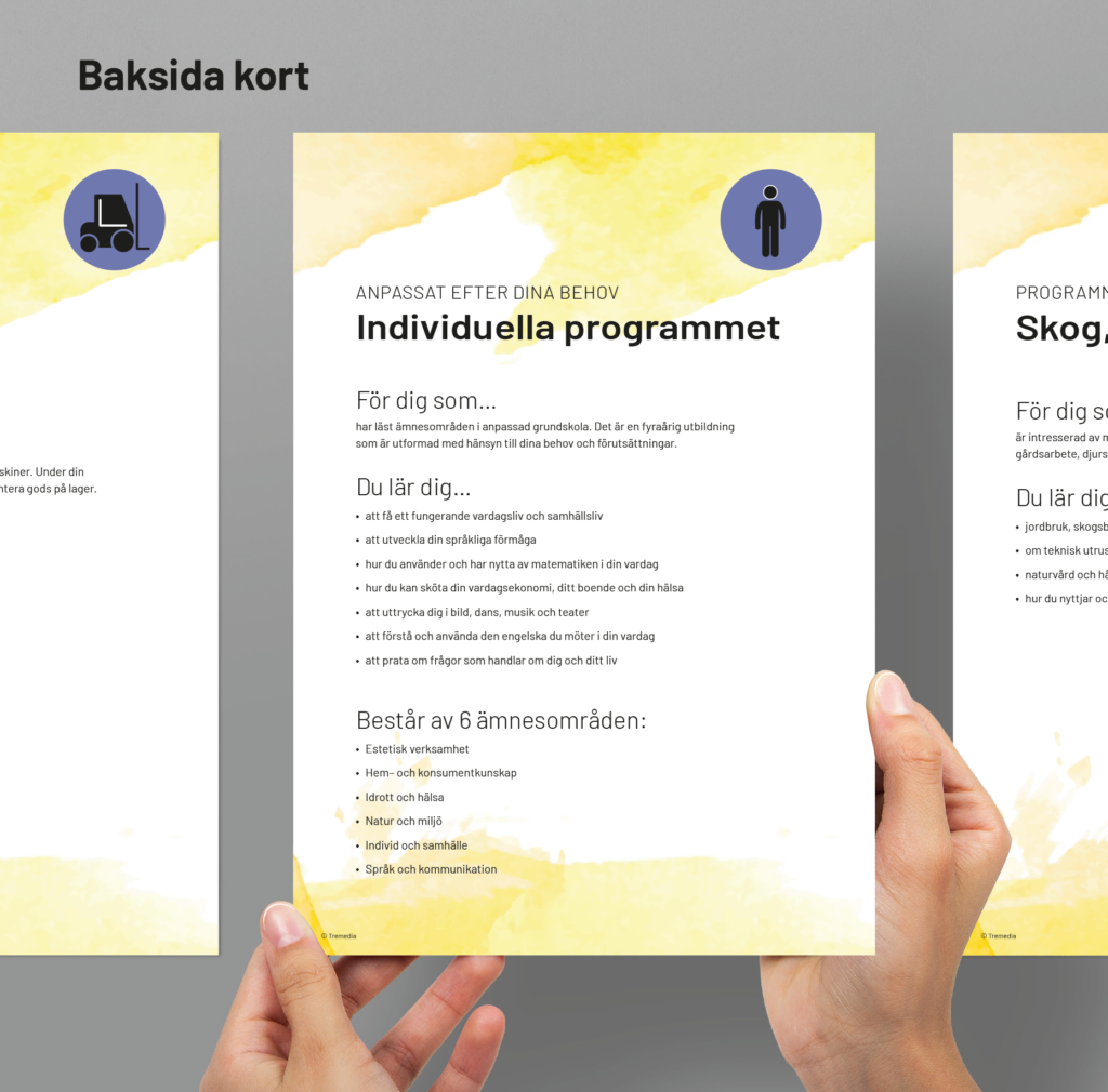 Anpassad gymnasieskola Programkort - digital leverans - Tremedia