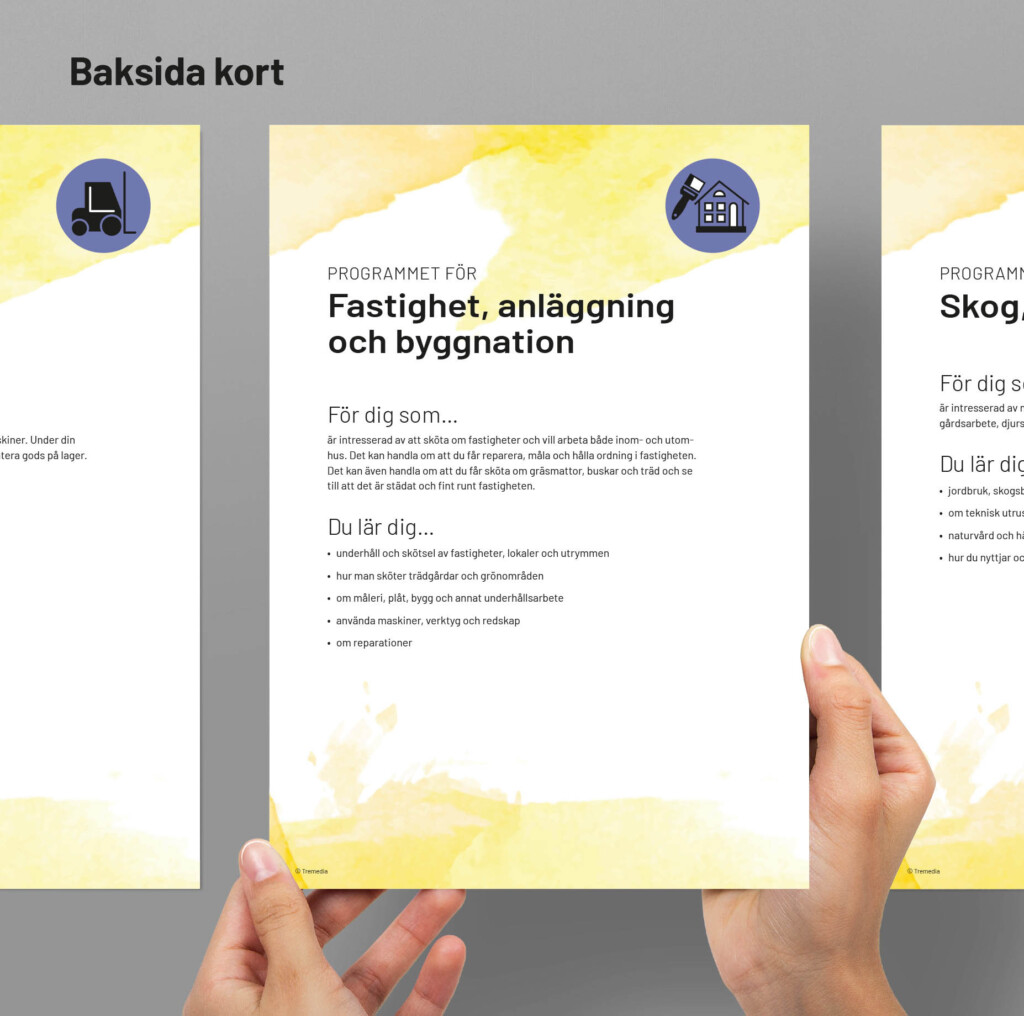 Anpassad gymnasieskola Programkort - digital leverans - Tremedia