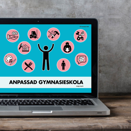 PowerPoint om Anpassad gymnasieskola